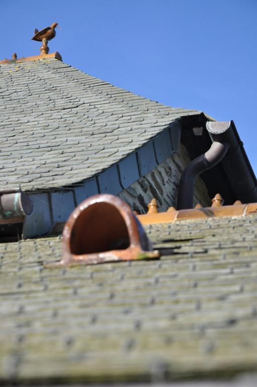 Maison Duchevreuil Cherbourg-en-Cotentin Esterno foto